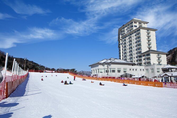 [Private Tour] Nami Island & Snow Viewing and Snow sled (More Members Less Cost) - Who This Tour Suits Best (And Who Might Skip It)