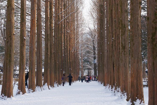 [Private Tour] Nami Island & Snow Viewing and Snow sled (More Members Less Cost) - Booking and On-the-Day Expectations (Without the Headache)