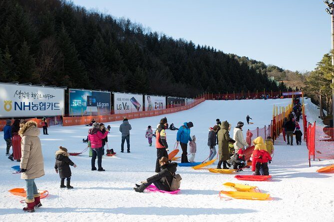 [Private Tour] Nami Island & Snow Viewing and Snow sled (More Members Less Cost) - Should You Book This Nami Island & Elysian Snow Tour?