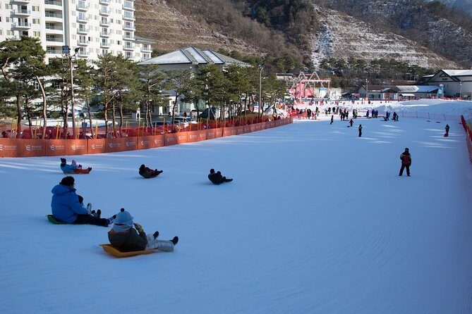 [Private Tour] Nami Island & Snow Viewing and Snow sled (More Members Less Cost) - Nami Island in Winter: Winter Sonata Views and 4 Hours That Count