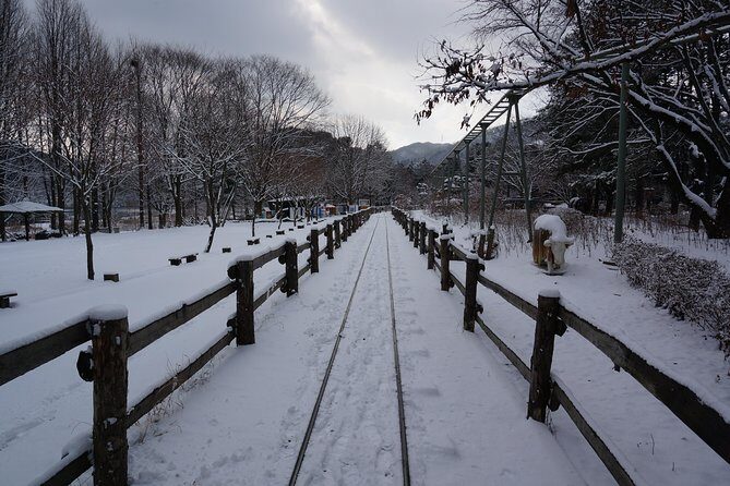 Private Tour Rail Bike & Nami Island & (Petite France or Garden of Morning Calm) - What to Expect on the Ground (So You Don’t Waste Time)
