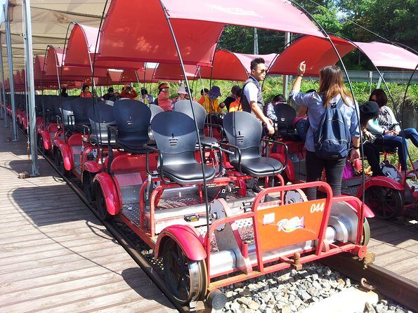 Private Tour Rail Bike & Nami Island & (Petite France or Garden of Morning Calm) - Who This Tour Suits Best (And Who Should Rethink)