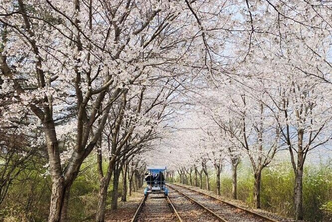 Private Tour to Alpaca world &Nami Island& Railbike with Tickets - Price and value: what’s included, what costs extra, and how to budget