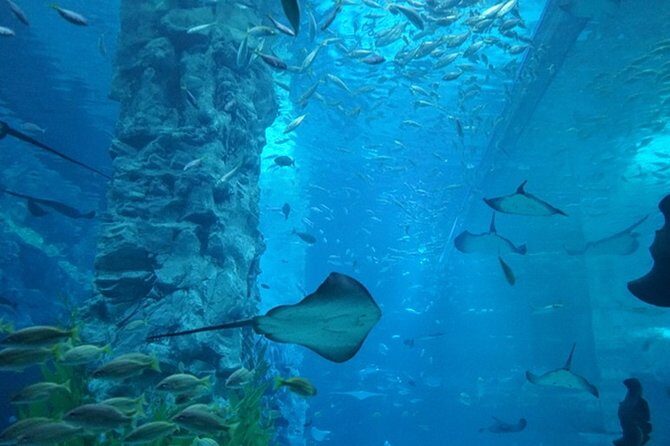 Private Tour to Lotte Tower, Aquarium and Lotte world Theme park - Lotte World Adventure Park: 5 Hours of Indoors, Rides, and Easy Orientation