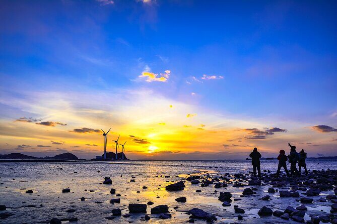 Seohaerang Cable Car, Gwangmyeong Cave & Suwon fr Seoul(EG Tour) - Who should book this Seoul day trip