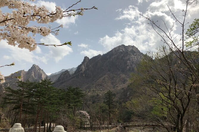 Seoraksan and Cherry Blossom Lake 1 day trip from Seoul - What Makes This Seoraksan + Cherry Blossom Day Trip Worth It