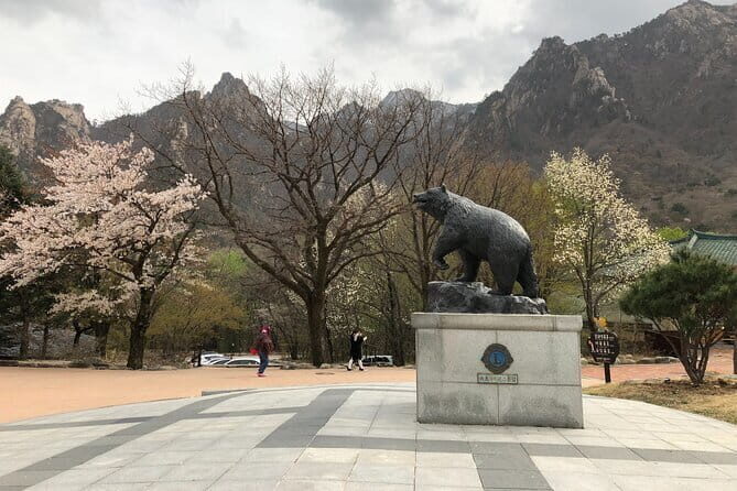 Seoraksan and Cherry Blossom Lake 1 day trip from Seoul - Price and Value: What You Pay For (and What You Don’t)