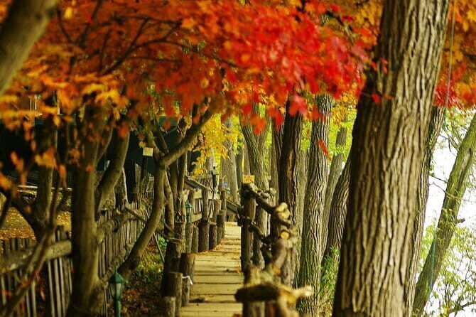 Seoraksan and Cherry Blossom Lake 1 day trip from Seoul - Should You Book This Seoraksan and Cherry Blossom Day Trip?