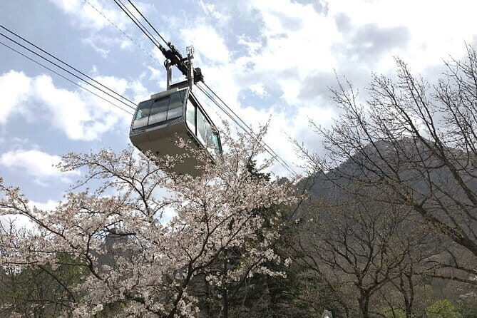 Seoraksan and Cherry Blossom Lake 1 day trip from Seoul - Hiking vs Cable Car at Seoraksan: Choose Your Energy Level