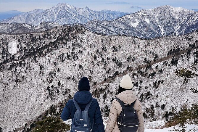 Seoraksan National Park & Nami Island - Key points before you go