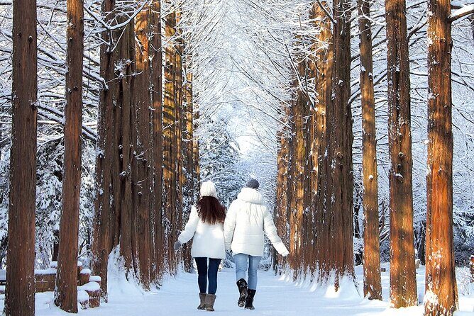 Seoraksan National Park & Nami Island - Why this Seoraksan and Nami Island day trip works