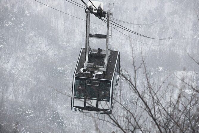 Seoraksan National Park & Nami Island - Cable car and winter comfort: the small costs that can matter
