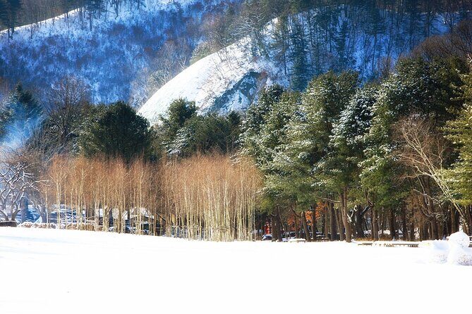 Seoraksan National Park & Nami Island - Group size, guides, and communication that keeps the day sane