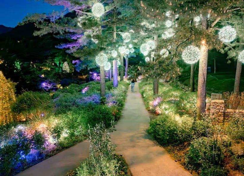 Seoul: Alpaca World and Nami Island (with Garden / Railbike) - Nami Island: tree-lined avenues and photo-ready art