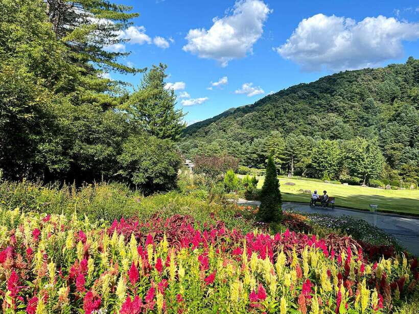 Seoul: Alpaca World and Nami Island (with Garden / Railbike) - Pacing and comfort on an 11-hour route