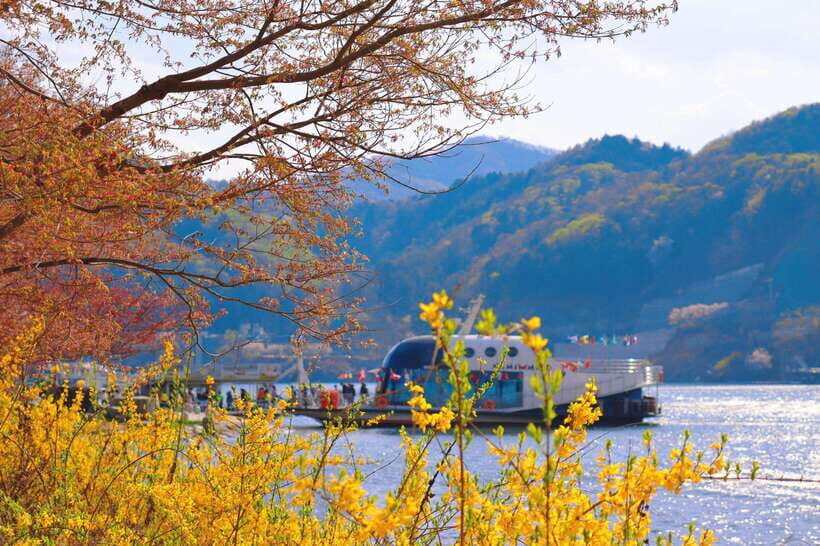 Seoul: Alpaca World & Nami Island optional Gangchon Railbike - Key Takeaways Before You Go