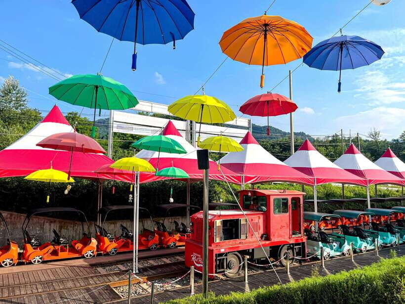 Seoul: Alpaca World & Nami Island optional Gangchon Railbike - Who Should Book This Day Trip (and Who Might Skip It)
