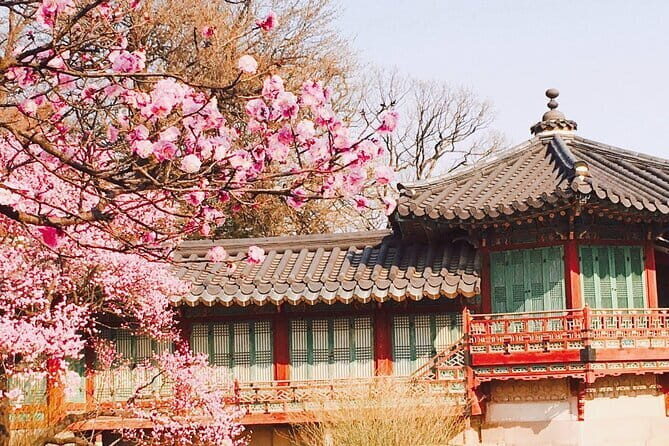 Seoul and Suburbs Private Customized Tour - Petite France: a Little Prince-inspired detour that stays fun
