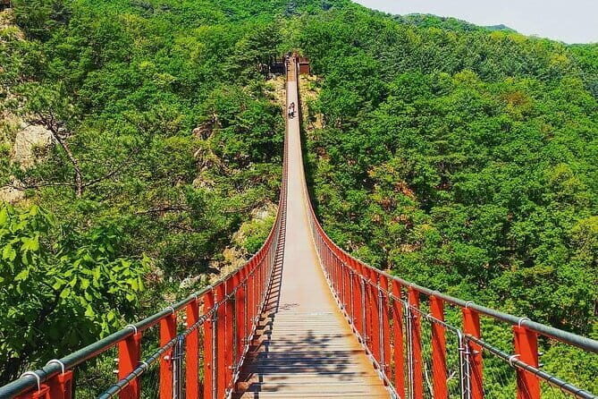 Seoul and Suburbs Private Customized Tour - Garden of Morning Calm: a calm reset in a tightly packed day