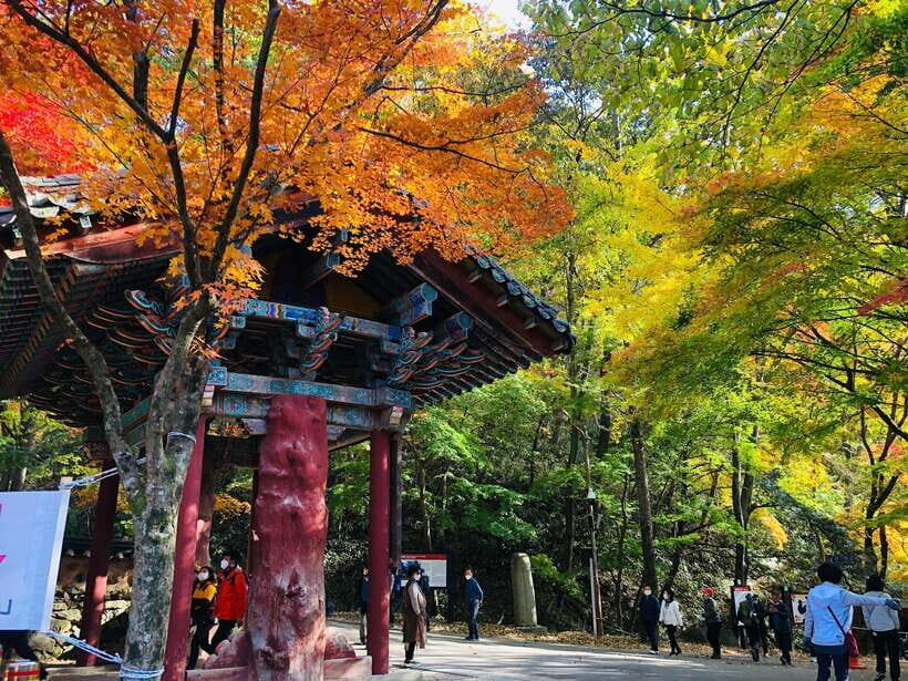 Seoul: Autumn Foliage - Mt. Naejang + Jeonju Hanok Village - Route Overview: Naejangsan Autumn Walks and Jeonju’s Hanok Lanes