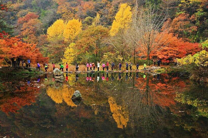 Seoul: Autumn Foliage - Mt. Naejang + Jeonju Hanok Village - What to Bring: Comfortable Shoes and a Weather Plan