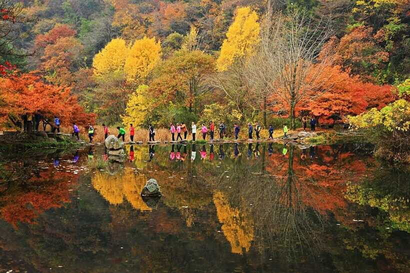 Seoul: Autumn Foliage - Mt. Naejang + Jeonju Hanok Village - Stop 2: Jeonju Hanok Village Walk for Traditional Streets and Easy Snacking