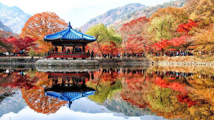 Seoul: Autumn Foliage - Mt. Naejang + Jeonju Hanok Village - Who This Tour Suits (and Who Should Skip It)