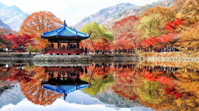 Seoul: Autumn Foliage - Mt. Naejang + Jeonju Hanok Village - Meeting Points and How to Start Smoothly