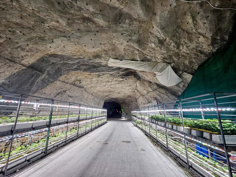 Seoul: Chungju Cruise, Cable Car & Cave Kayak Adventure Tour - Hwalok Cave: The Quarry Turned Underground Adventure
