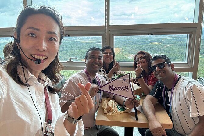 Seoul City Private Tour (Optional : Seoul, DMZ, Nami Island) - Price and logistics: when $450 per group feels fair