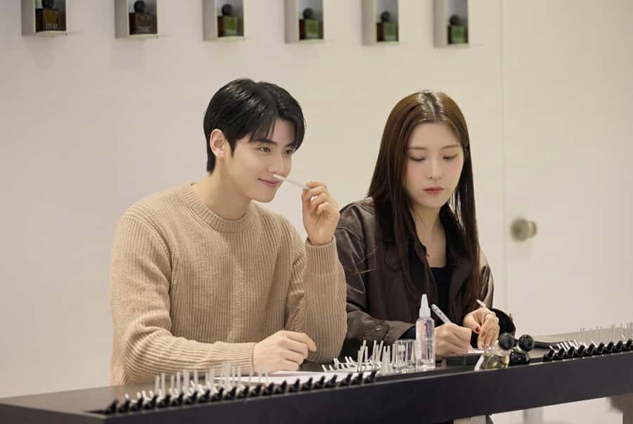 Seoul: Create Your Own Natural Perfume with a Perfumer - English instruction and the right pace for beginners
