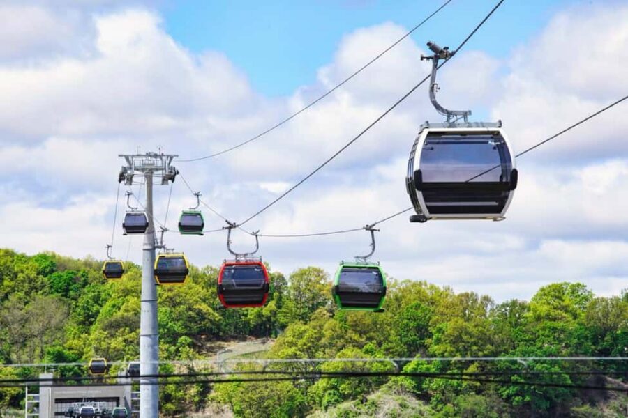 Seoul: DMZ Guided Tour with Suspension Bridge and Gondola - Pickup timing: why you should aim earlier than you think