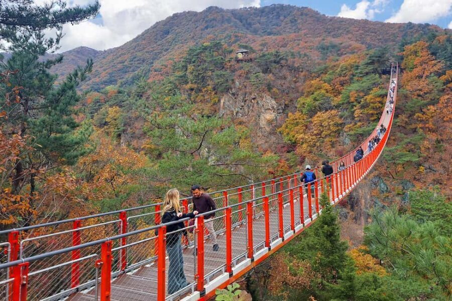 Seoul: DMZ Guided Tour with Suspension Bridge and Gondola - Price and what $48 actually covers (and what it doesn’t)