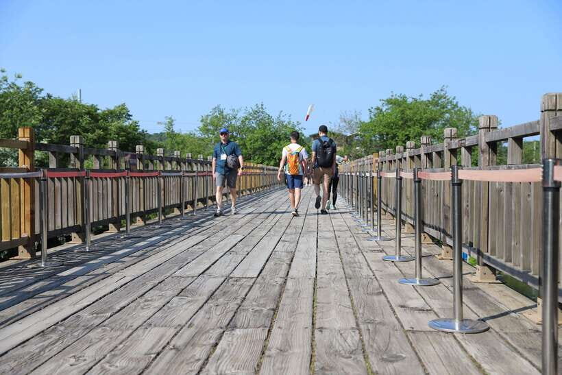 Seoul: DMZ The 3rd Tunnel and Suspension Bridge Tour - Dora Observatory: your rare North Korea glimpse when the sky cooperates