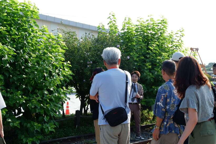 Seoul: DMZ Tour with Japanese-Speaking Guide - What might derail your plan (and what you’ll do instead)