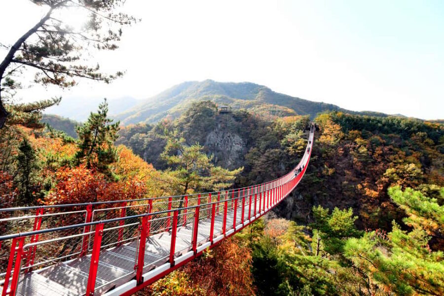 Seoul: DMZ Tour with Optional Suspension Bridge - Entering the DMZ From Seoul: what the day really feels like