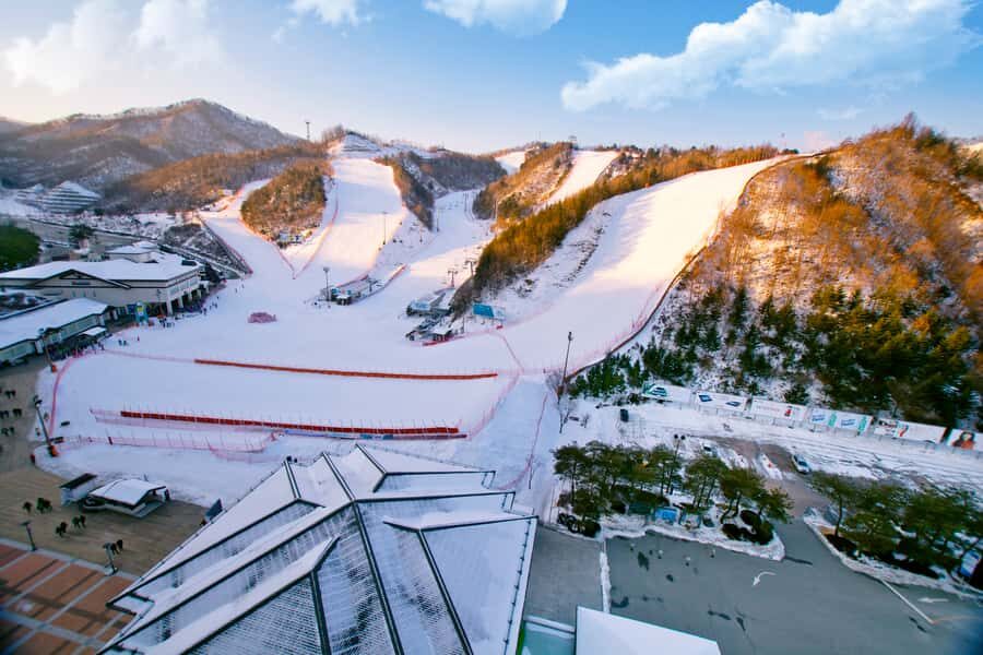 Seoul: Elysian Gangchon Winter Ski Resort Fun Day Tour - Family-Friendly in Theory, With a Few Real Checks