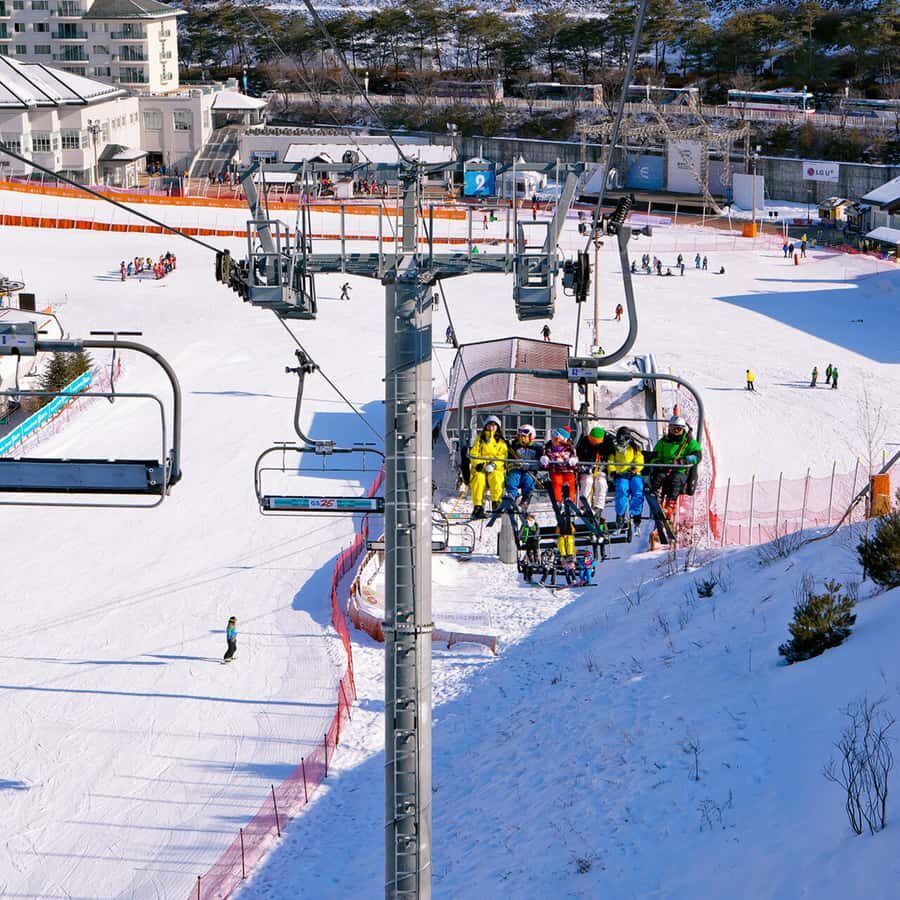 Seoul: Elysian Gangchon Winter Ski Resort Fun Day Tour - Pick the Right Package: Shuttle, Ski, Snowboard, Sled, or Sightseeing