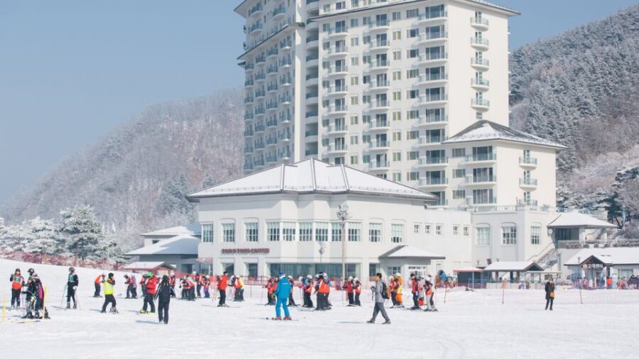 Seoul: Elysian Gangchon Winter Ski with Nami Island Day Tour - Key Highlights You’ll Actually Care About