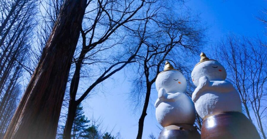 Seoul: Elysian Gangchon Winter Ski with Nami Island Day Tour - A Winter Day That Actually Makes Sense: Seoul to Nami Island