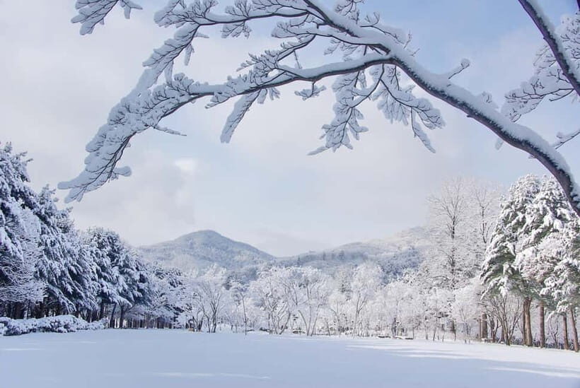Seoul: Elysian Gangchon Winter Ski with Nami Island Day Tour - The Transfer to Elysian Gangchon: Why the Timing Works