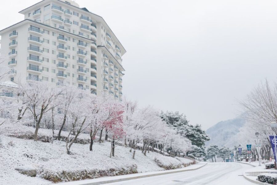 Seoul: Elysian Gangchon Winter Ski with Nami Island Day Tour - Elysian Gangchon Ski Resort: Lessons, Lift Access, and What Beginners Need