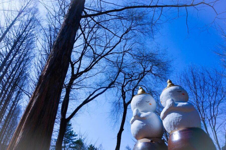Seoul: Elysian Gangchon Winter Ski with Nami Island Day Tour - Picking the Right Package: Shuttle, Ski Full, Snowboard Full, Sightseeing, Sled