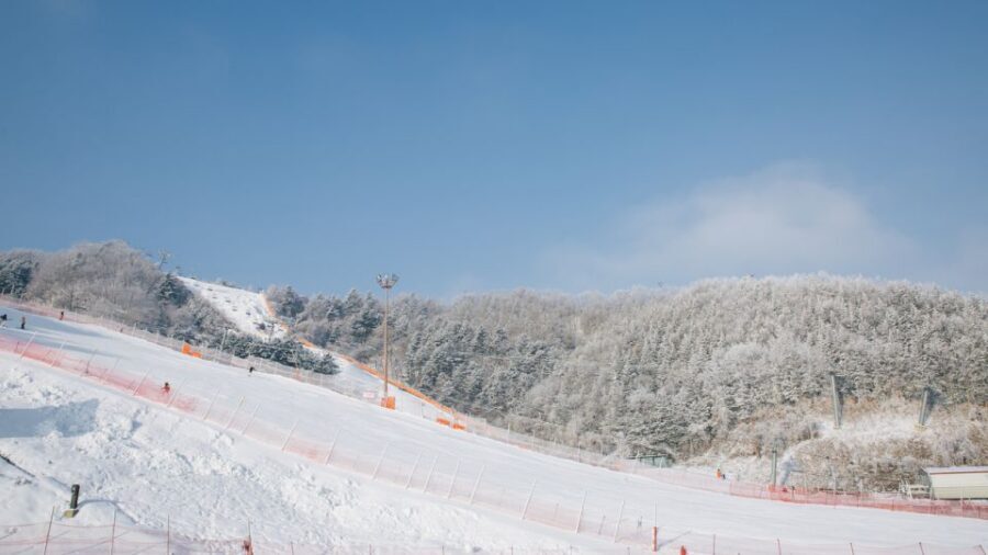 Seoul: Elysian Gangchon Winter Ski with Nami Island Day Tour - What You’re Really Getting for $35: Value Breakdown