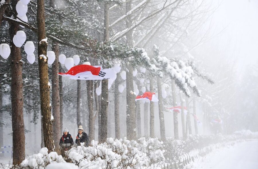 Seoul: Elysian Gangchon Winter Ski with Nami Island Day Tour - Timing on the Ground: From 9:30am Nami to 5:00pm Back in Seoul