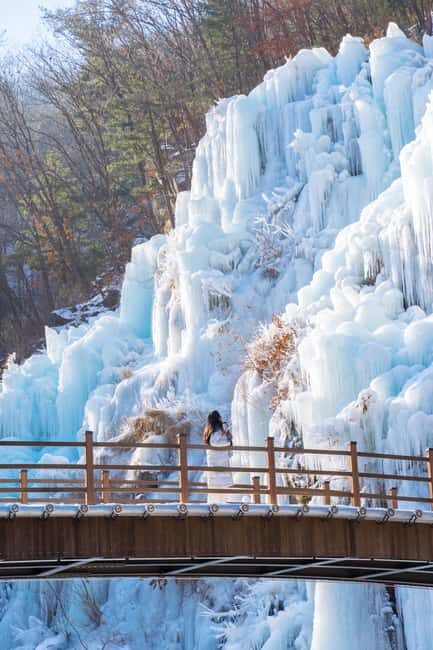 Seoul: Eobi Ice Valley, Alpaca World, Nami Island and More - Key highlights worth centering in your planning