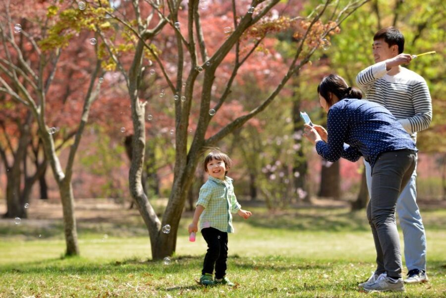 Seoul: Eobi Ice Valley, Alpaca World, Nami Island and More - FAQ