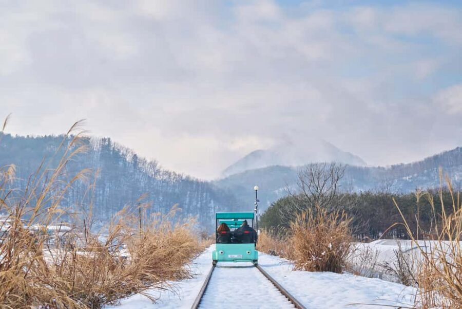 Seoul: Eobi Ice Valley, Alpaca World, Nami Island and More - Nami Island: Winter Sonata vibes, plus a reality check