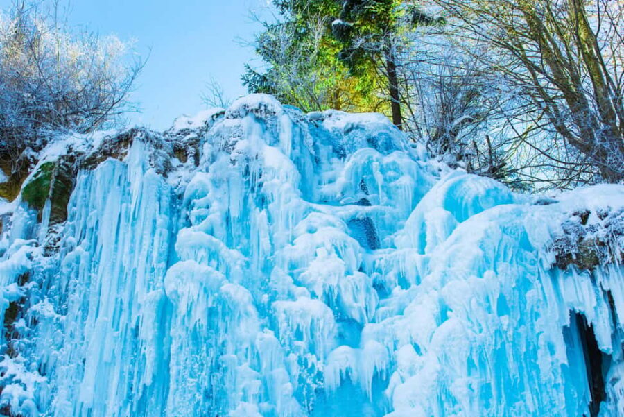 Seoul: Eobi Ice Valley, Alpaca World, Nami Island and More - Gangchon Rail Bike or Garden of Morning Calm: choose your ending