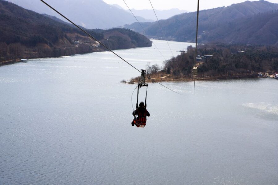 Seoul: Eobi Ice Valley, Alpaca World, Nami Island and More - Price and value: what $83 really buys you